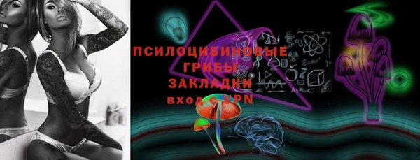 трава Инта