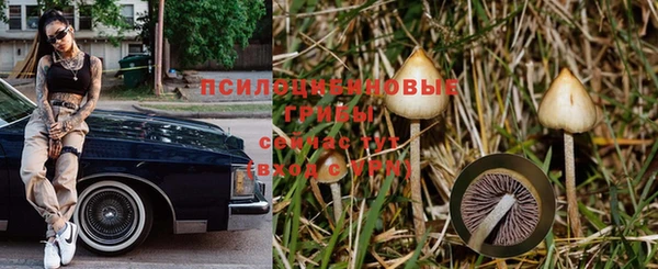 соль ск Алзамай
