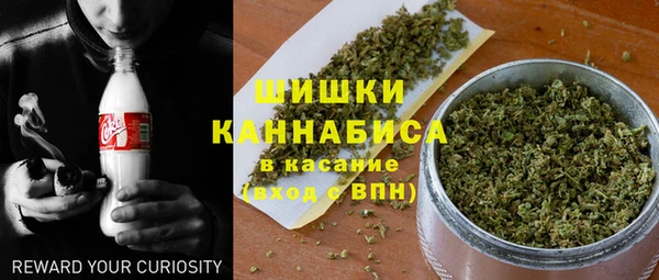 прущие грибы Иннополис