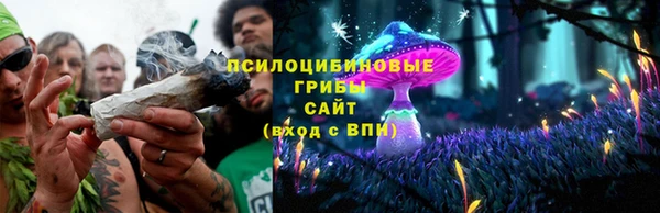 эйфоретик Алексеевка