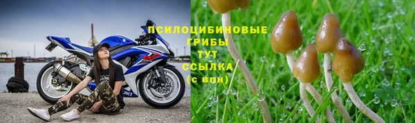 винт Алексин