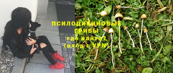 эйфоретик Алексеевка
