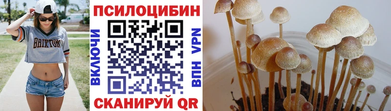 Галлюциногенные грибы мицелий  продажа наркотиков  Полярные Зори 